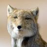 Robby Villabona's profile picture