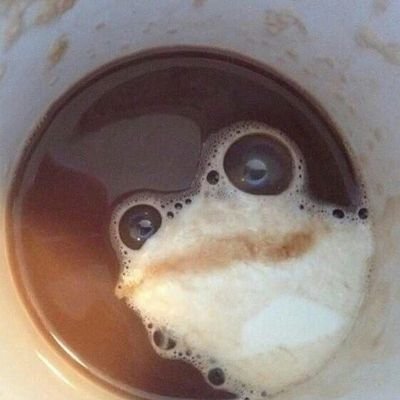 Flat Lander's profile picture