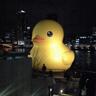 ふりかけちゃん profil fotoğrafı