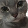 xpinky85x 🏳️‍⚧️ profil fotoğrafı