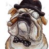 Parecido a Winston 的头像