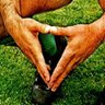 Betis Del Sol's profile picture