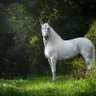 Фото профиля عبدالرحمن علي بيطار