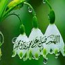 Profilbild von محمد