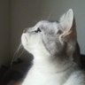 Profilbild von leona731