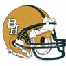 ✡️BearlyHereBear🐻🏈🏀's profile picture