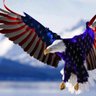 Raptor 🇺🇸 🇺🇦 🇮🇱's profile picture