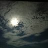 リリー's profile picture