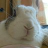 ブルー profil fotoğrafı