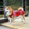 Profilbild von かずき