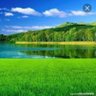 أم شهد profil fotoğrafı