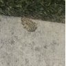 Nyesha profil fotoğrafı
