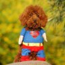 Save the world profil fotoğrafı