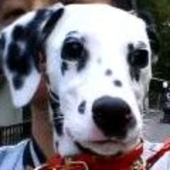 takaMD's profile picture