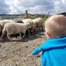 Håvard Steffenak profil fotoğrafı