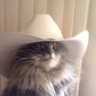 Profilbild von kitttssa