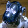 Profilbild von もじゅらーたにっくす