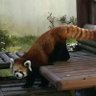 ささやかな幸せ profil fotoğrafı