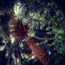يوسف sh profil fotoğrafı
