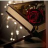 ام مهند's profile picture