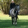 Judie Wallen profil fotoğrafı