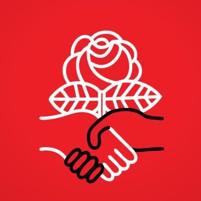 DemSocialists's profile picture