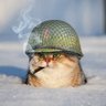 Фото профиля Sad And Useless Humor