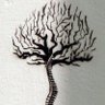 Maّyon❥'s profile picture
