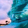 💜🌊 ϟF's profile picture