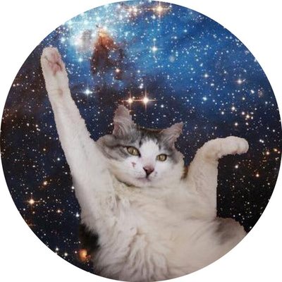 川辺🐼💃💃💃's profile picture