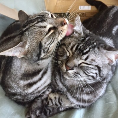 房之助&拓郎ママ's profile picture