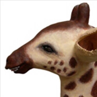 kyanecoxx's profile picture