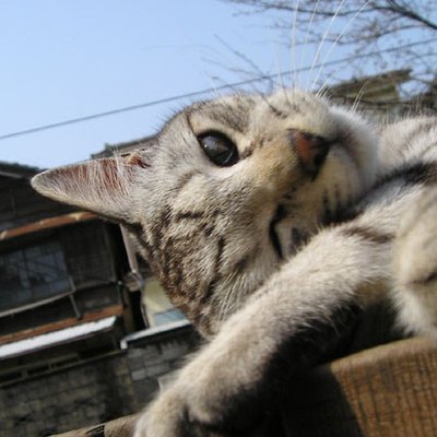 æµ®æµªé² å's profile picture