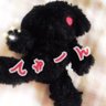 星月 春花 profil fotoğrafı