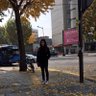 Фото профиля waaneedaa