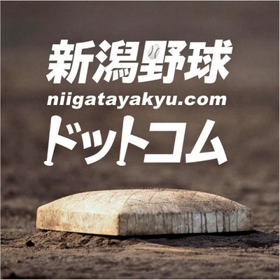 niigatayakyu's profile picture