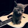 yuka profil fotoğrafı