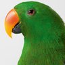 ナッツ's profile picture