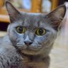 หว๊านหวาน's profile picture