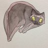ふつ@つんランサー's profile picture