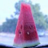 CCCXC profil fotoğrafı