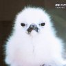 とうじん鳥 profil fotoğrafı