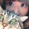 金犬 的头像
