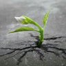 Фото профиля esam essawi