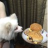 wongjohn's profile picture