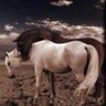 Фото профиля ابو حزام