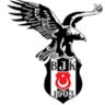 Asil Kartal profil fotoğrafı