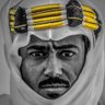 احمد الشامسي's profile picture