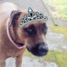 Фото профиля Whose a pretty girl