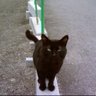 かまのすけ profil fotoğrafı